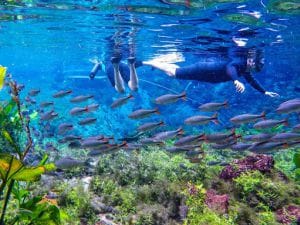 Nascente Azul - Bonito