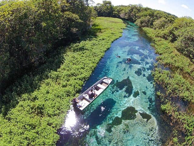 Rio Sucuri L Flutuação Em Bonito Ms Acqua Viagens