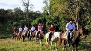 Cavalgada Parque Ecológico Cavalgada Parque Ecológico
