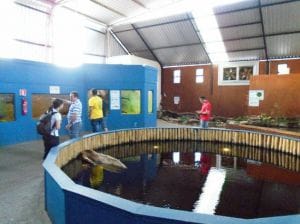 Aquário de Bonito Aquário de Bonito