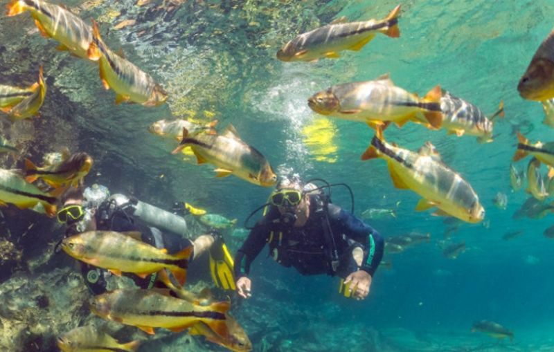 Mergulho Com Cilindro Rio Da Prata 