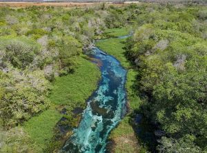 Rio Sucuri Bonito 1