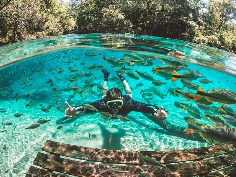 Passeio Rio da Prata em Bonito