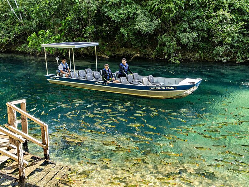 Passeio Rio da Prata em Bonito